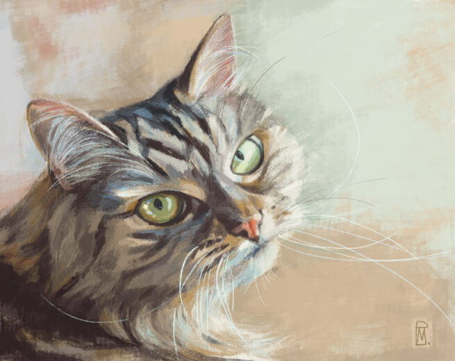 Tamilla, digital illustration, Mirjana Panovski